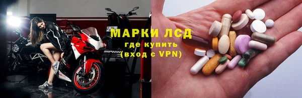 сатива Верхний Тагил