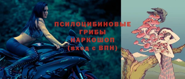 сатива Верхний Тагил