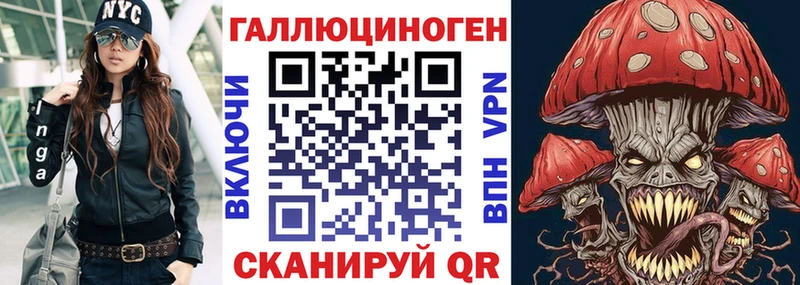 Псилоцибиновые грибы Psilocybe  shop Telegram  Гудермес 