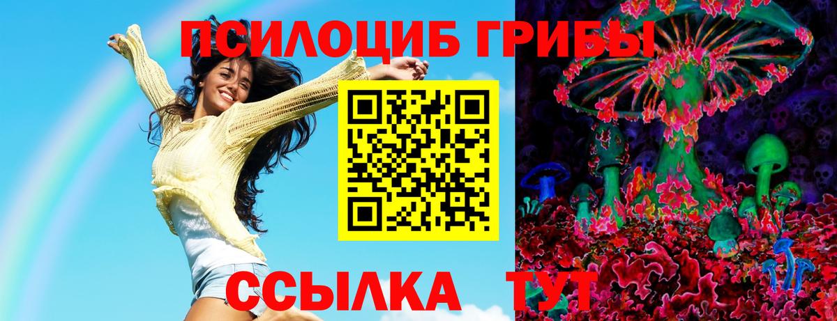 Галлюциногенные грибы Psilocybe  Вход с VPN  Гудермес  наркота  Псилоцибиновые грибы Cubensis 