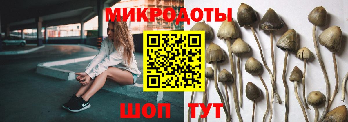 Галлюциногенные грибы прущие грибы Гудермес